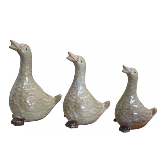 Duck Set of 3 Ornament