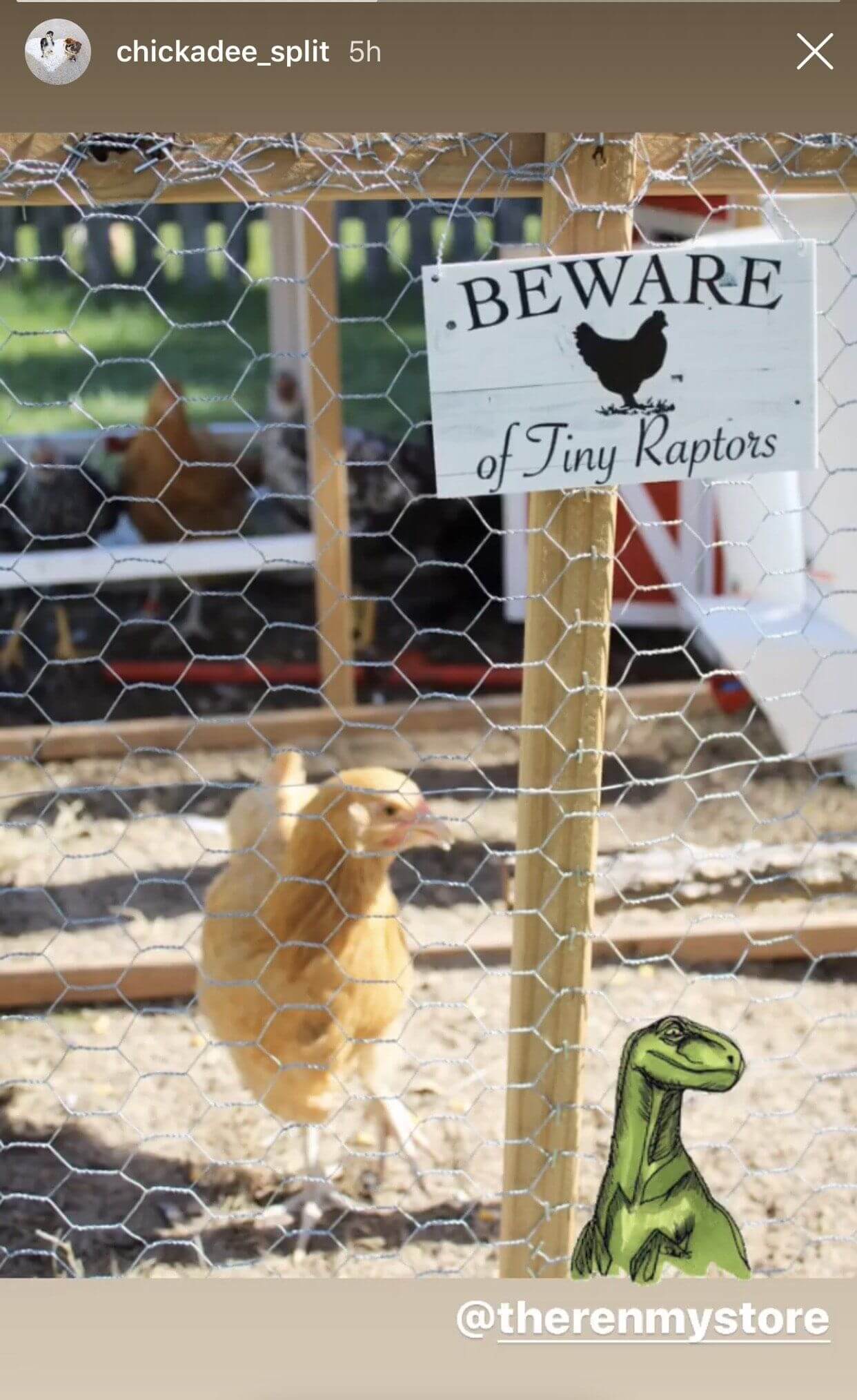 Beware Of Tiny Raptors Chicken Sign