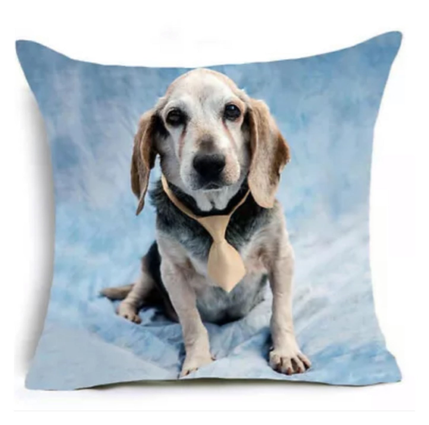 Cushion Pillow Dog Beagle Blue - The Renmy Store