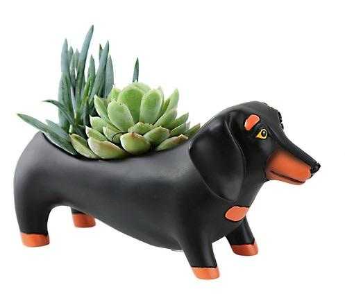 Dachshund Dog Black Large Pot Plant