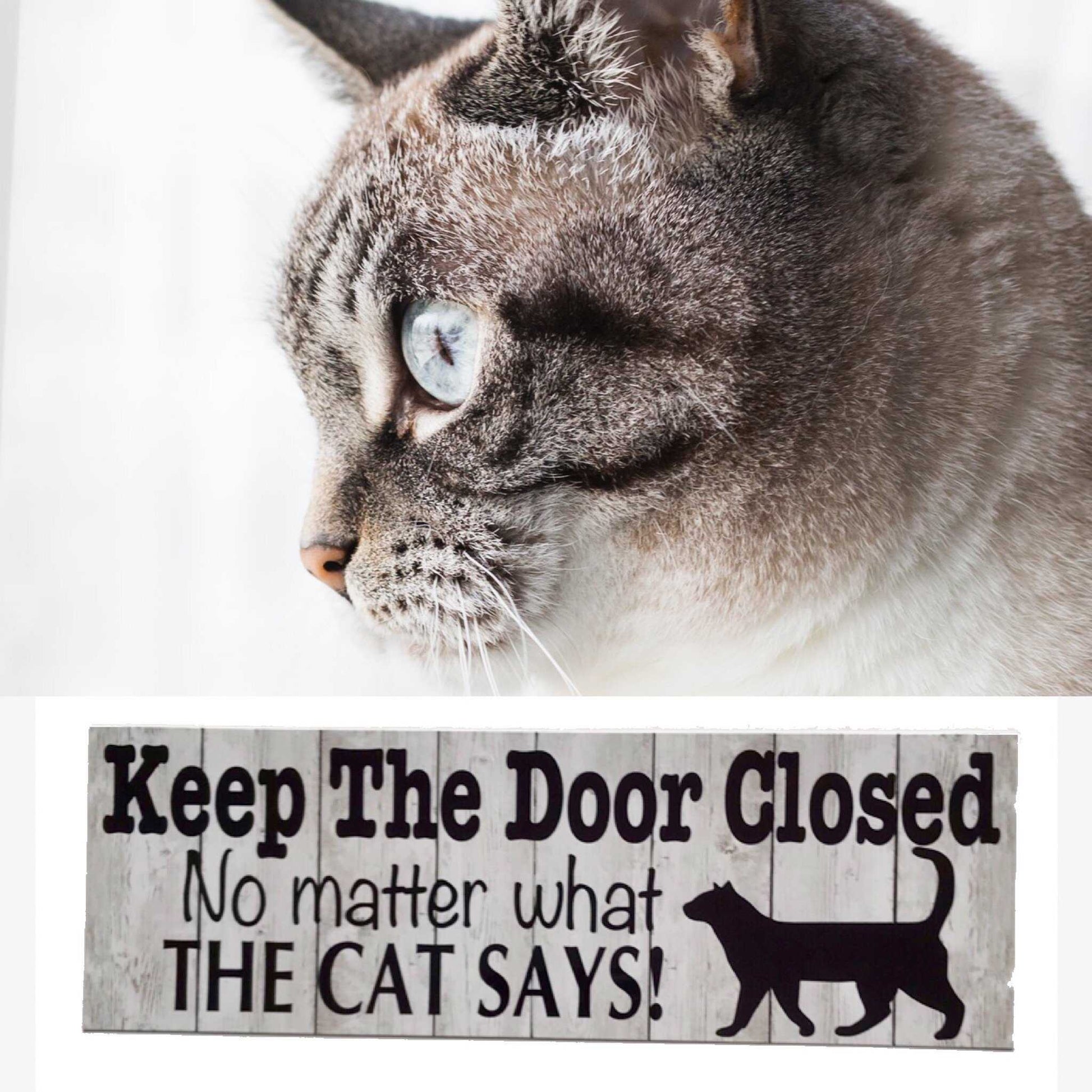 Keep The Door Closed No Matter What The Cat Says Sign