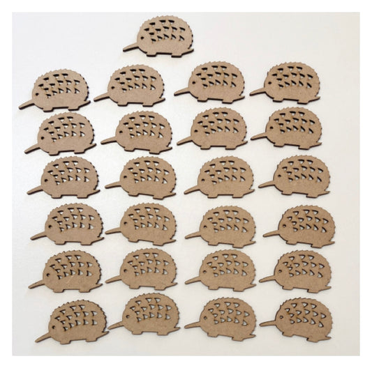 Echidna Set of 25 MDF Shape DIY Raw Cut Out Art Craft Décor - The Renmy Store Homewares & Gifts 