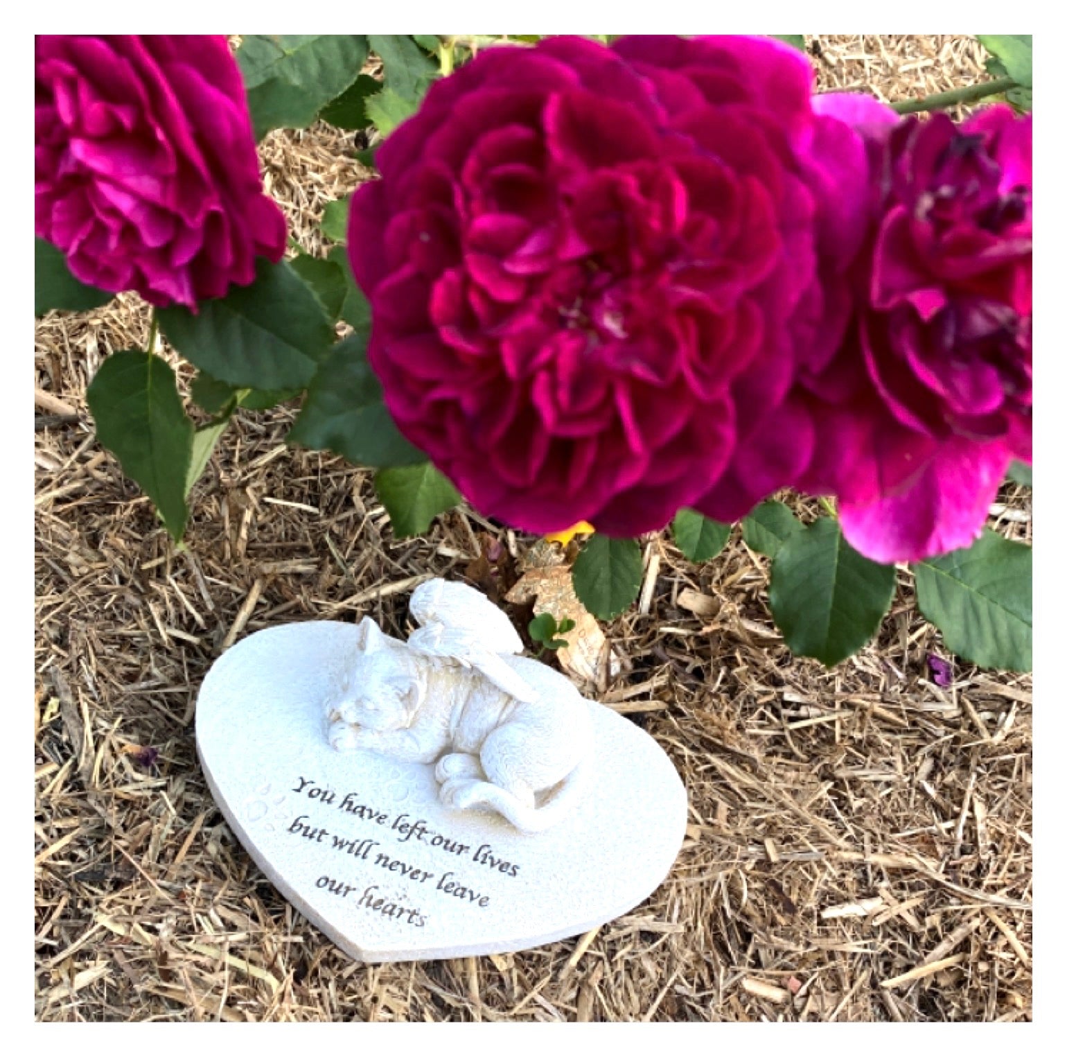 Cat Heart Garden Memorial RIP - The Renmy Store Homewares & Gifts 