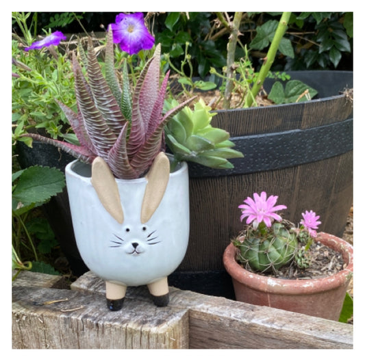 Rabbit Plant Pot Planter Shabby Chic - The Renmy Store Homewares & Gifts 