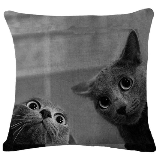 Cushion Pillow Two Cat Cats