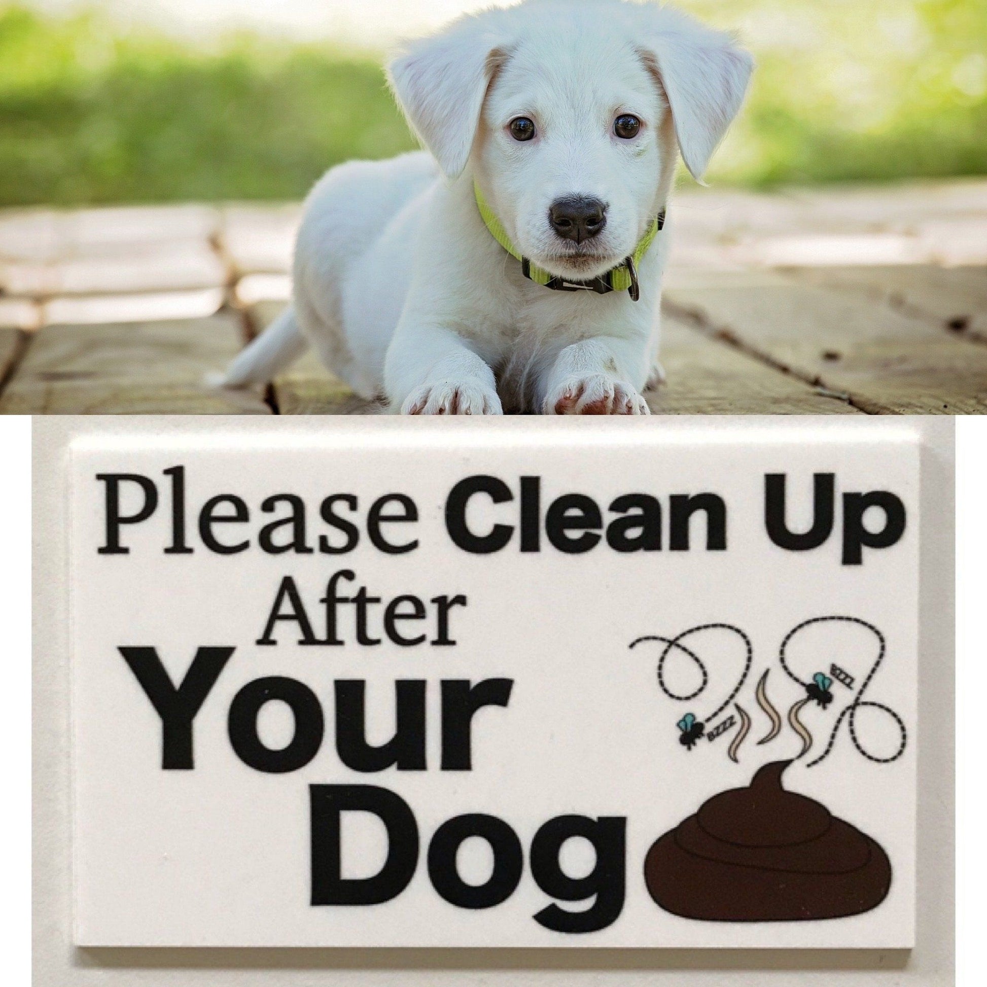 Please Clean Up Dog Poo Poop Pet Sign