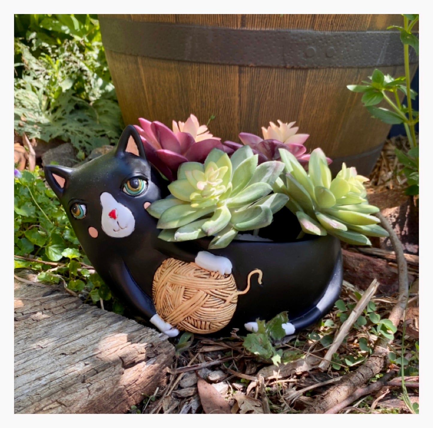 Cat Funky Yarn Black Plant Pot