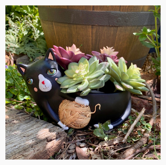 Cat Funky Yarn Black Plant Pot - The Renmy Store Homewares & Gifts 